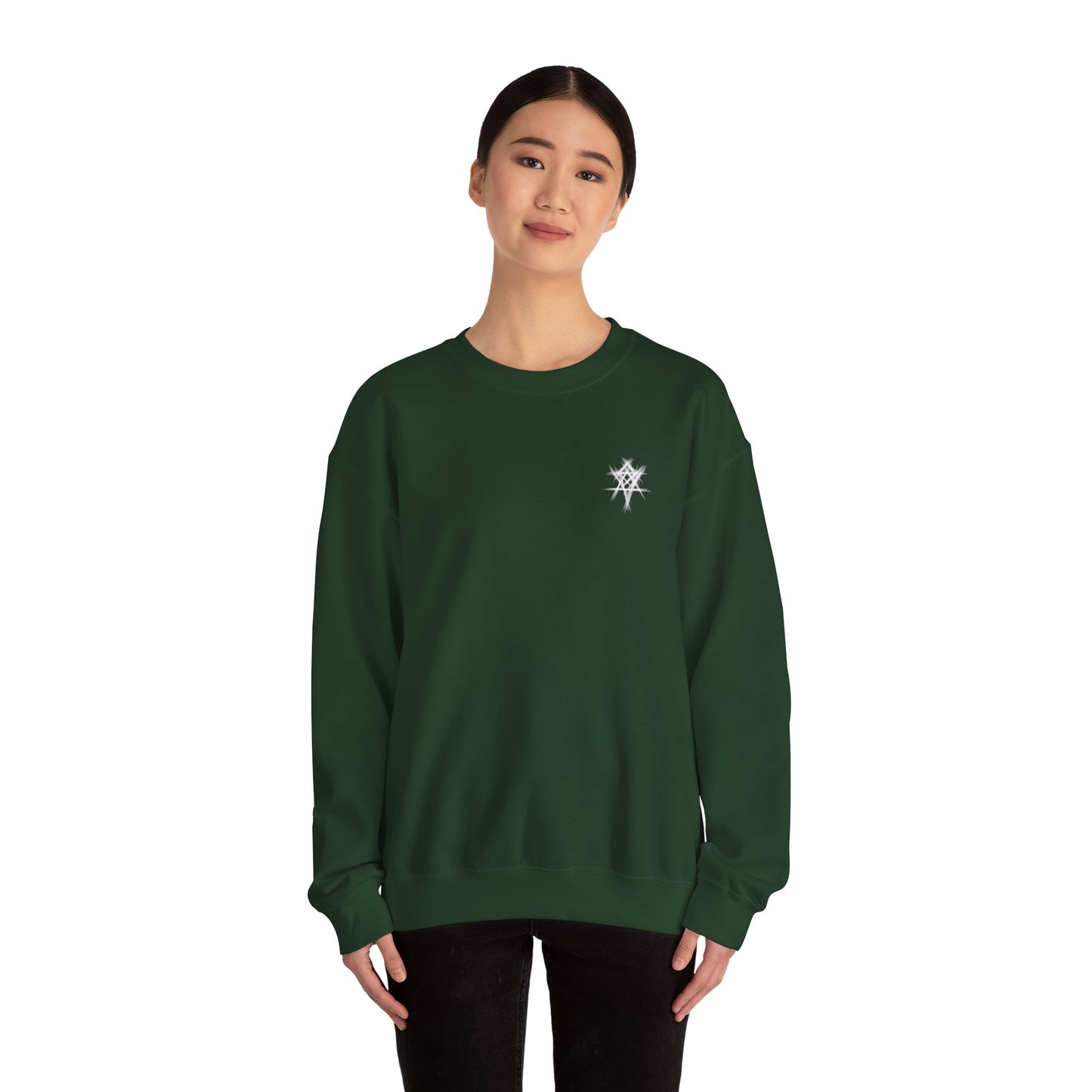 ECHO LIGHTS CREWNECK SWEARSHIRT