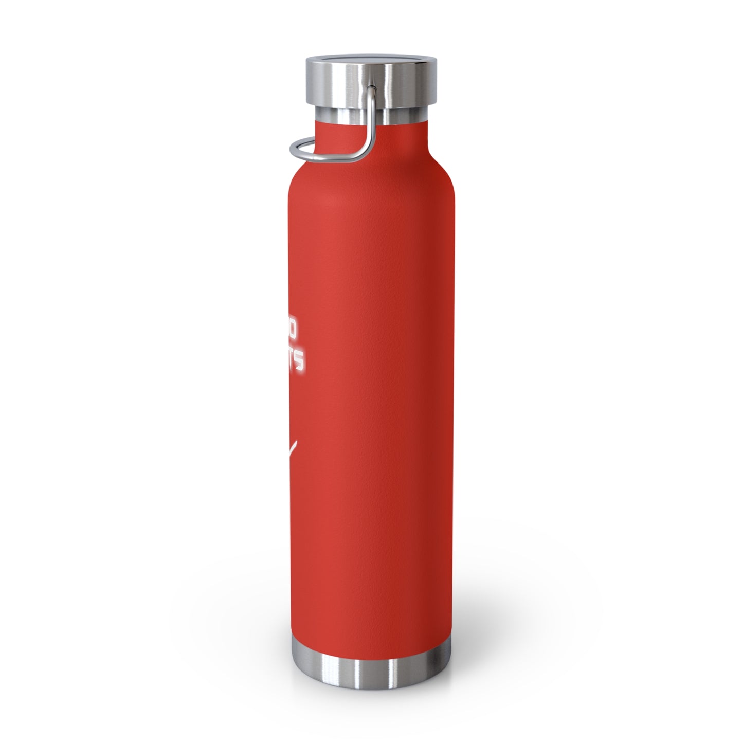 ECHO LIGHTS INSULATED BOTTLE, 22oz