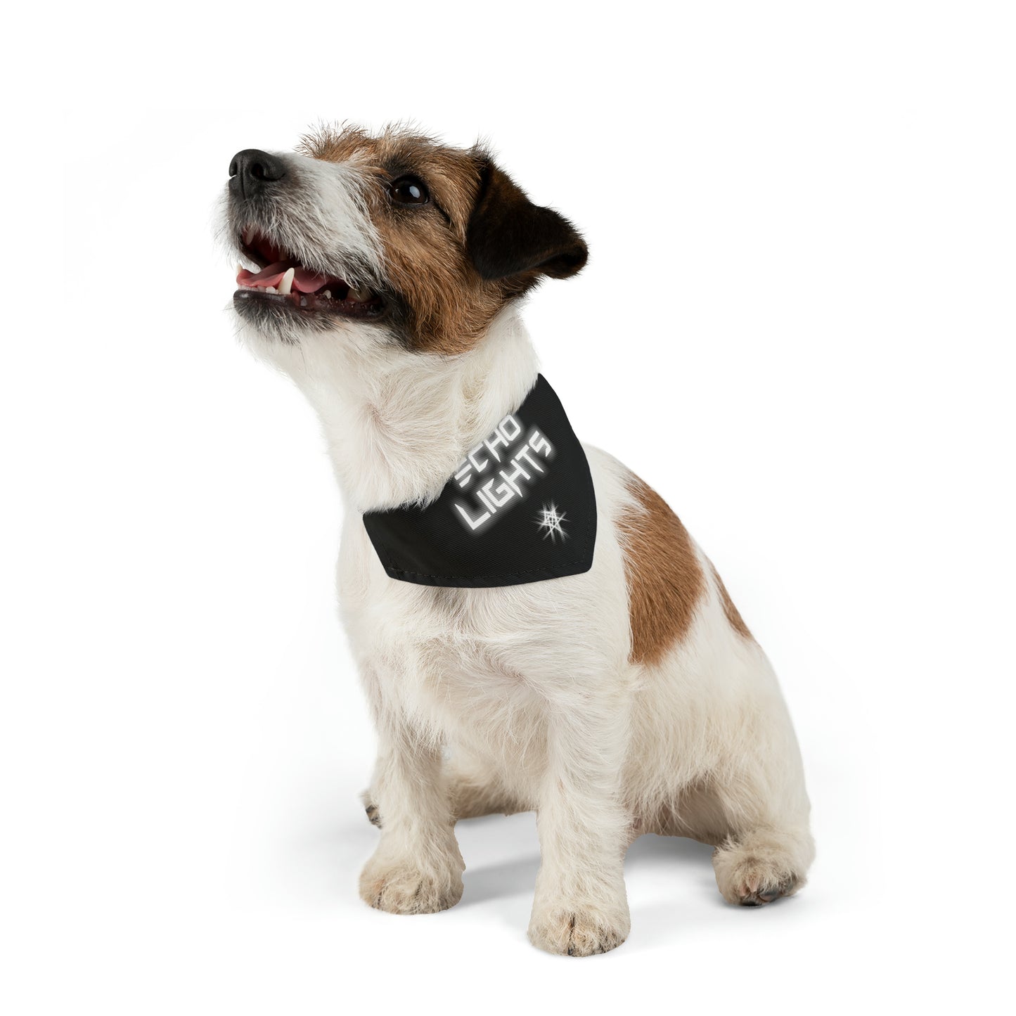 ECHO LIGHTS PET BANDANA COLLAR